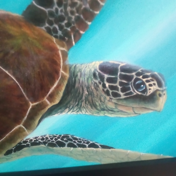 artisian Other - Honu Sea Turtle Original oil Painting by Hawaiian artist